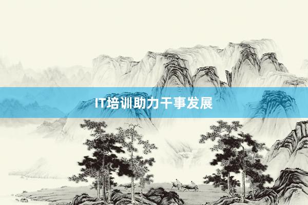 IT培训助力干事发展