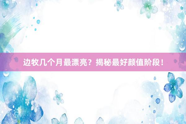 边牧几个月最漂亮？揭秘最好颜值阶段！